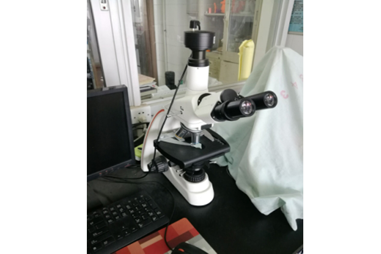 Optical microscope